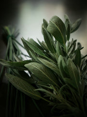 Sage Pomarose