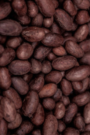 Tonka Bean