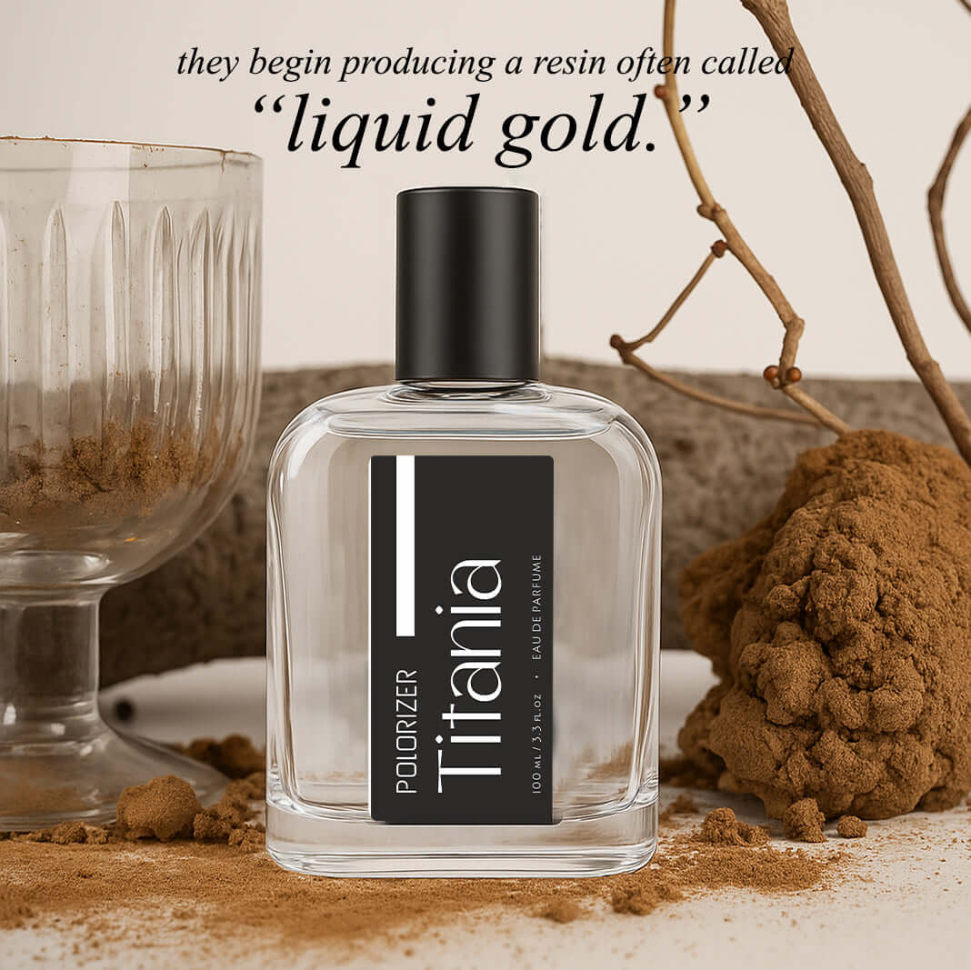 Titania for Unisex - 100ml