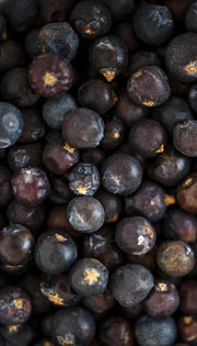 Black Currant