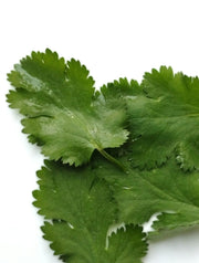 Coriander