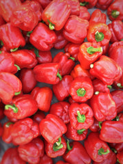 Pink Pepper