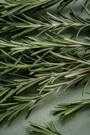 Rosemary